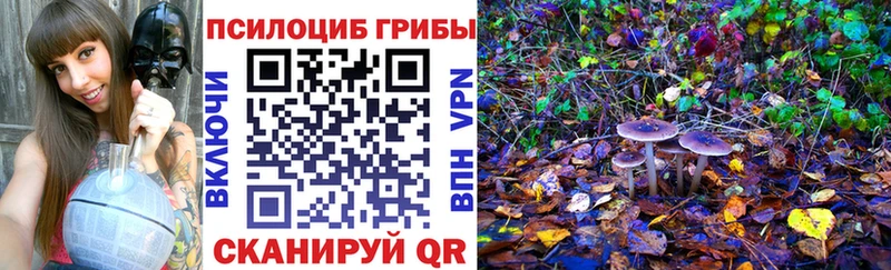 Псилоцибиновые грибы мицелий  даркнет сайт  Мантурово 